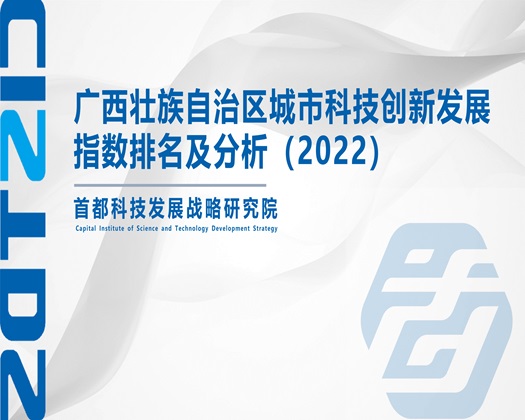 被抠出水的骚货啊【成果发布】广西壮族自治区城市科技创新发展指数排名及分析（2022）